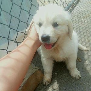 Meet your Posher, Marelyn